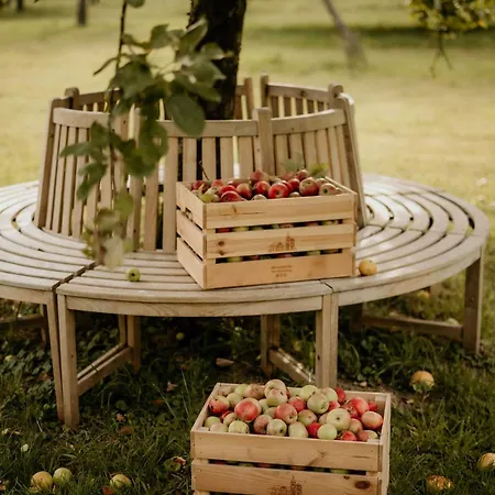 Landgoed Frymerson Hébergement de vacances Sint Odiliënberg